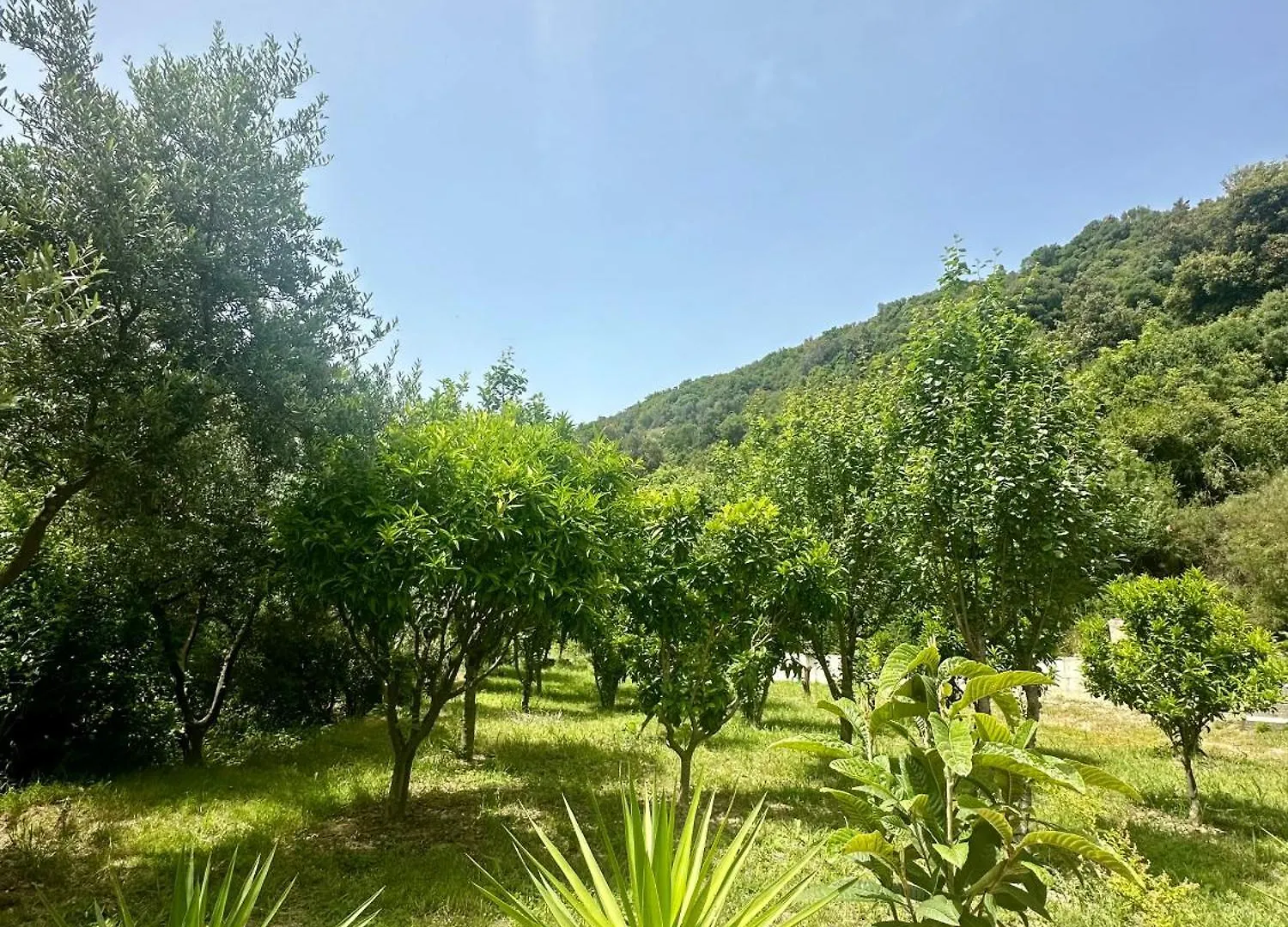 Fabio Apartments Gjiri I Lalzit Durres Albania